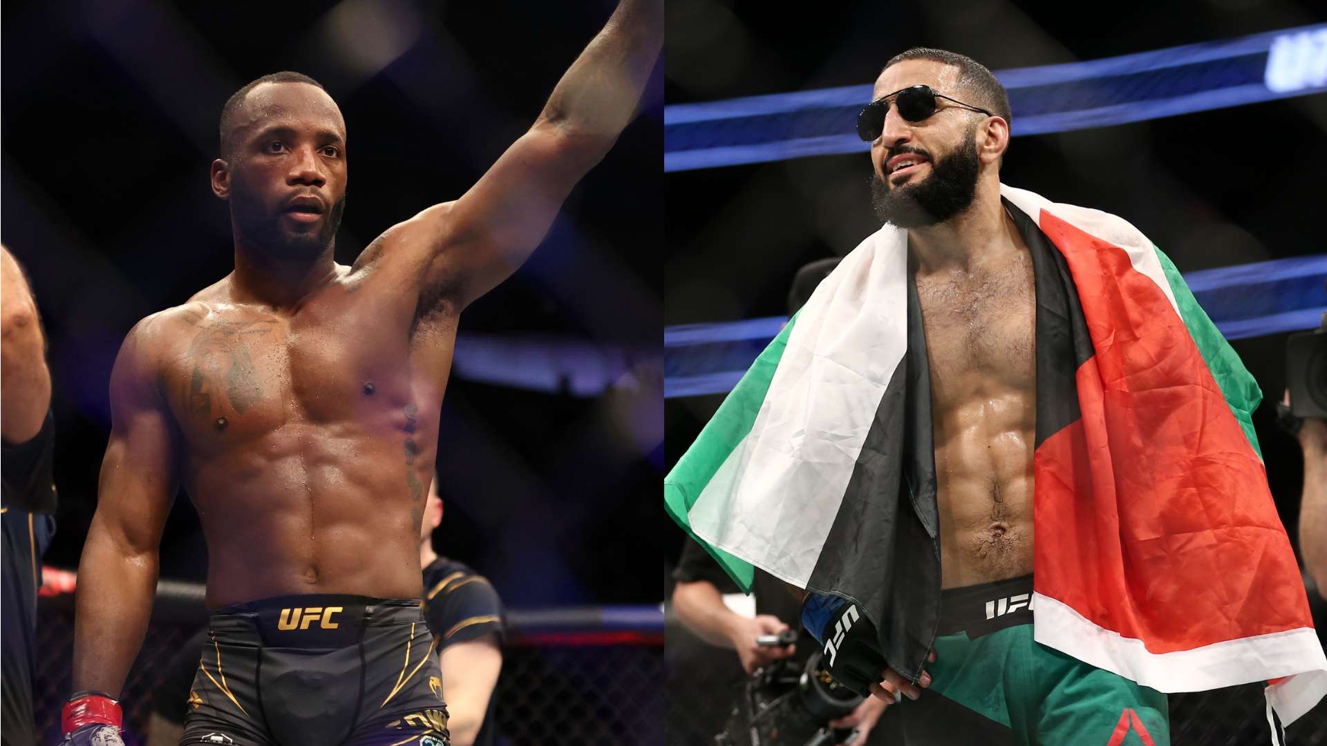 到更多选手 到更多选手