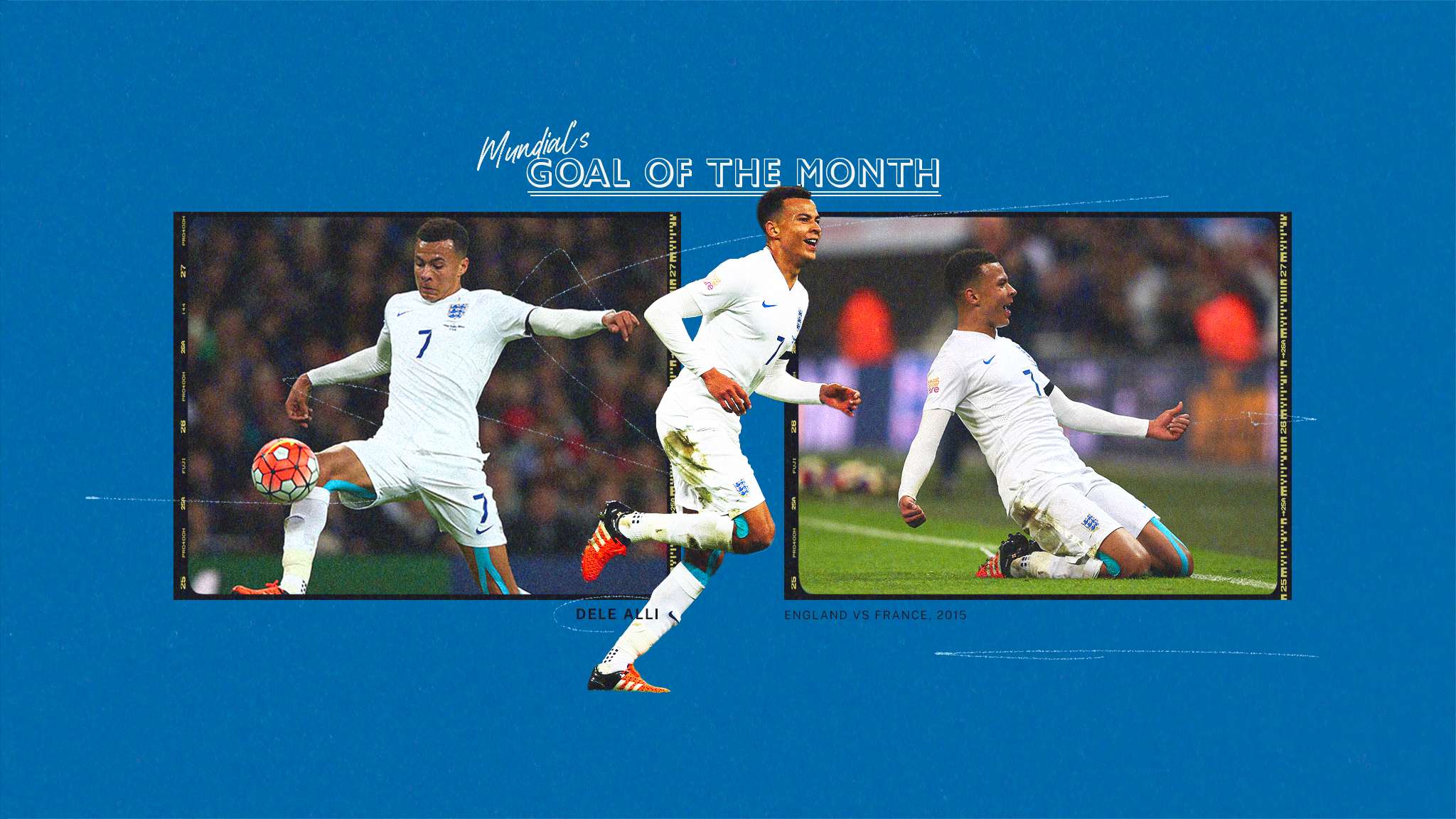 的双重绽放 的双重绽放